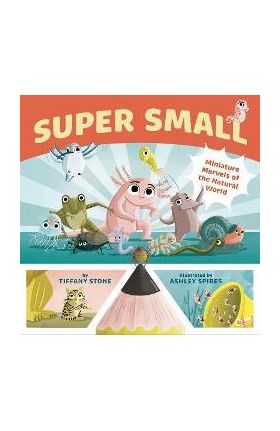 Super Small: Miniature Marvels of the Natural World - Tiffany Stone