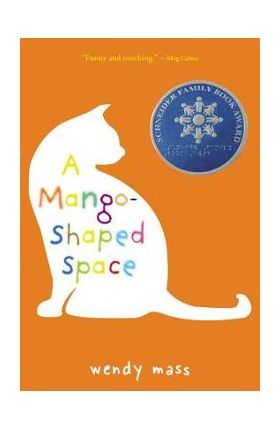 A Mango-Shaped Space - Wendy Mass