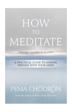 How to Meditate: A Practical Guide to Making Friends with Your Mind - Pema Ch&#65533;dr&#65533;n