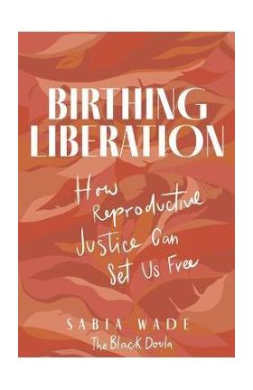 Birthing Liberation: How Reproductive Justice Can Set Us Free - Sabia Wade