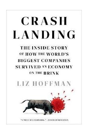 Crash Landing: The Inside Story of How the World's Biggest Companies Survived an Economy on the Brink - Liz Hoffman