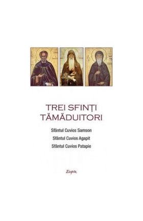 Trei sfinti tamaduitori Sfantul Samson Sfantul Agapit Sfantul Patapie