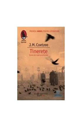 Tinerete. Scene din viata provinciala - J.M. Coetzee