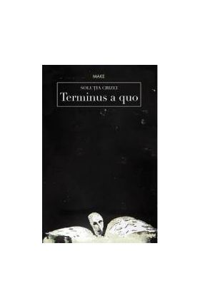 Solutia crizei - Terminus a quo - Make