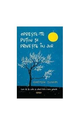 Opreste-te putin si priveste in jur - Haemin Sunim