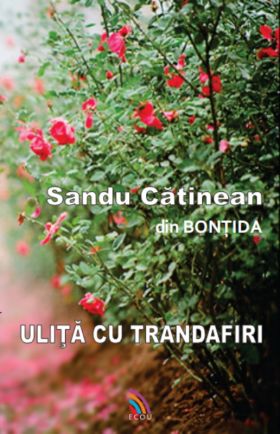 Ulita cu trandafiri | Sandu Catinean