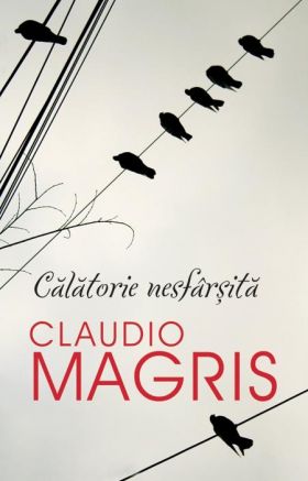 Calatorie nesfarsita | Claudio Magris