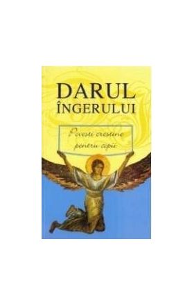 Darul Ingerului 2008