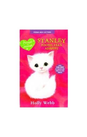 Stanley pisoiul fara adapost - Holly Webb