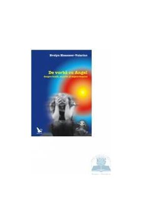 De vorba cu Angel - Evelyn Elsaesser-Valarino