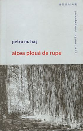 Aicea ploua de rupe | Petru M. Has