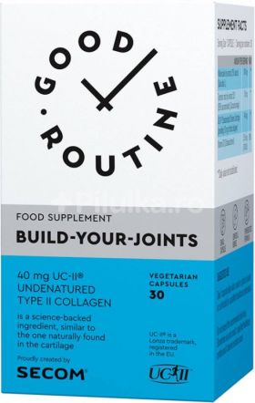 Build-Your-Joints - 30cps, Good Routine, Secom