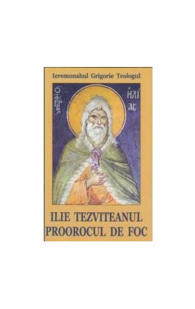 Ilie Tezviteanul proorocul de foc - Grigorie Teologul