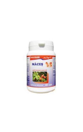 MACES, 40cps - Favisan