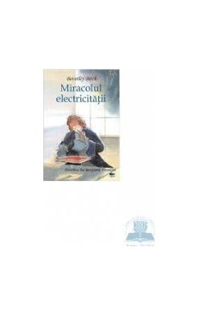 Miracolul electricitatii. Povestea lui Benjamin Franklin - Beverley Birch