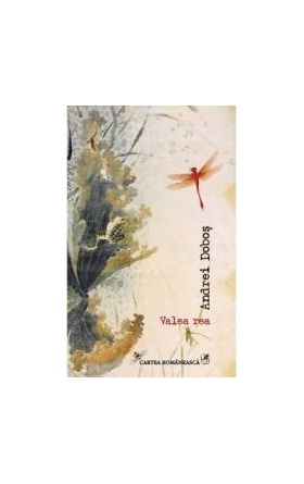 Valea rea - Andrei Dobos