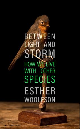 Between Light and Storm | Esther Woolfson