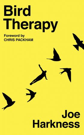 Bird Therapy | Joe Harkness