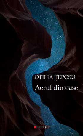 Aerul din oase | Otilia Teposu