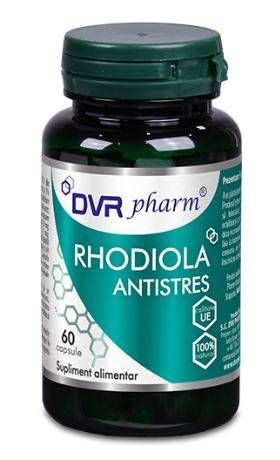 RHODIOLA ANTISTRES 60 Capsule - DVR PHARM