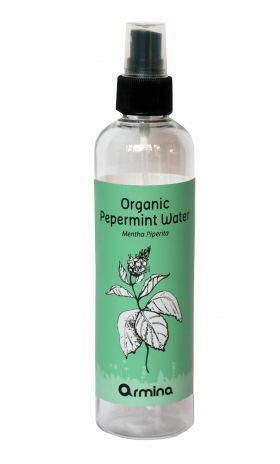 APA DE MENTA (MENTHA PIPERITA), ECO-BIO, 250ml, ARMINA