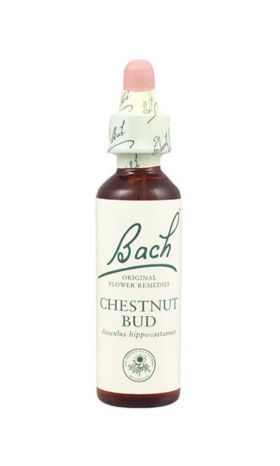 Chestnut Bud - Castan salbatic (Bach7) 20ml - Remediu Floral Bach