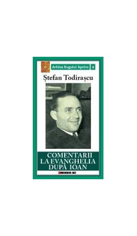 Comentarii la Evanghelia dupa Ioan - Stefan Todirascu