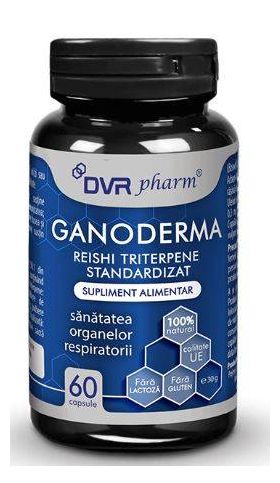 Ganoderma Reishi Triterpene Standardizat 60 capsule - DVR Pharm