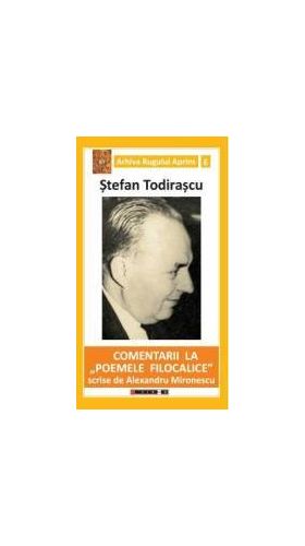 Comentarii la Poemele Filocalice scrise de Alexandru Mironescu- Stefan Todirascu