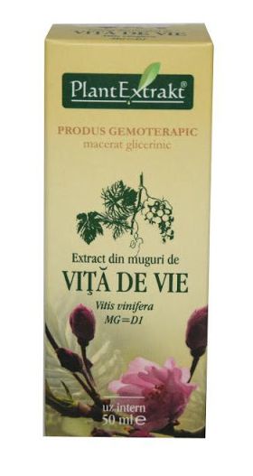 EXTRACT DIN MUGURI DE VITA DE VIE 50 ML