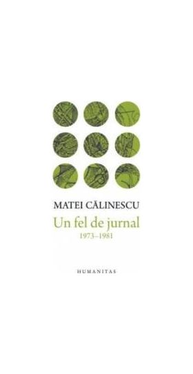 Un fel de jurnal 1973-1981 - Matei Calinescu