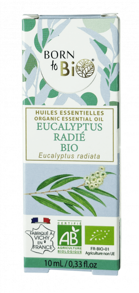 Ulei esential de eucalipt radiata, eco-bio, 10ml - Born to Bio