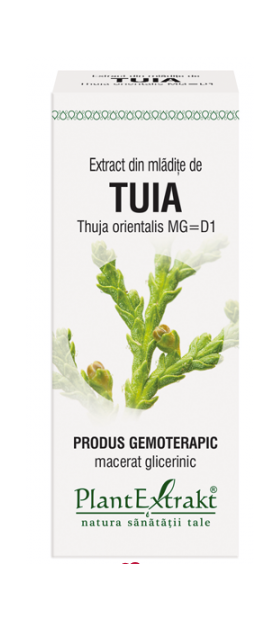 TUIA - mladite - gemoderivat - 50ml - PlantExtrakt
