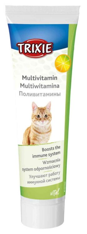 Multivitamine Pasta cu Taurina pentru Pisici 100g 4219