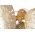 Aplica de perete Dishi Plus, Mauro Ferretti, 2 x E14, 40W, 47x13x28 cm, auriu