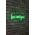 Decoratiune luminoasa LED, Be Unique, Benzi flexibile de neon, DC 12 V, Verde