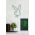 Decoratiune luminoasa LED, Playboy, Benzi flexibile de neon, DC 12 V, Verde