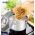 Set de gatit 6 piese, cu manere pliabile, Cooking by Heinner, Milena, inox, gri