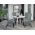 Scaun Paris Westa 9