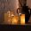 Set 3 suporturi lumanare, Ginkgo Tealight, Otel, Auriu