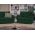Set Canapea si Fotolii Roma Verde