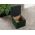 Taburet Carlos 1L Verde