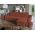 Coltar Mely Harmony 52
