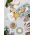 Set 6 farfurioare 13 cm, Mia, 280TMA1495, Ceramica, Multicolor