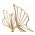 Decoratiune Double Leaves, Mauro Ferretti, 25x8.5x35 cm, fier, auriu