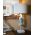 Lampa de masa Sea Horse, Mauro Ferretti, 1x E27, 40W, 30.5x66.5 cm, polirasina/fier/textil, multicolor