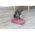 Jucărie Cat Activity Fotbal, pentru Pisici, 33 x 23,5 cm, 45880