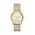 Dkny - Ceas NY2621