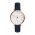 Fossil - Ceas ES3843