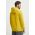 Helly Hansen hanorac de bumbac HH LOGO HOODIE bărbați, culoarea gri, cu glugă, cu imprimeu  33977